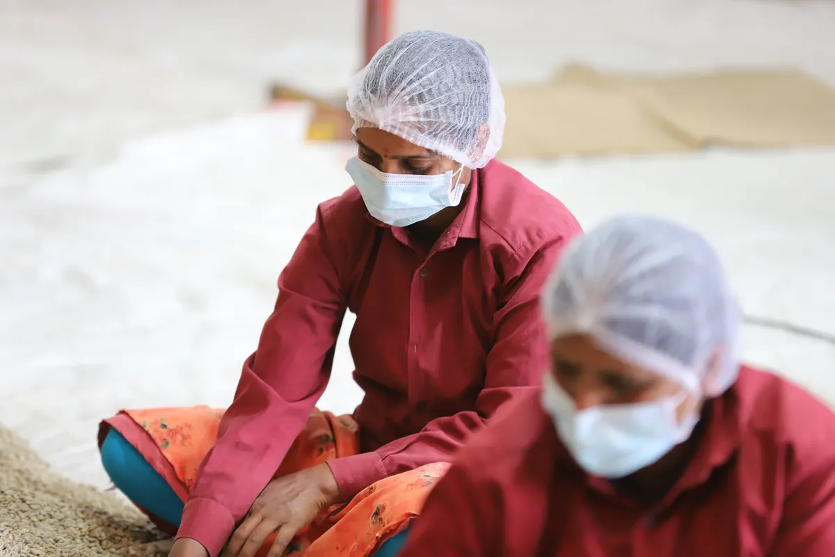 Close up of workers carefully sorting green beans